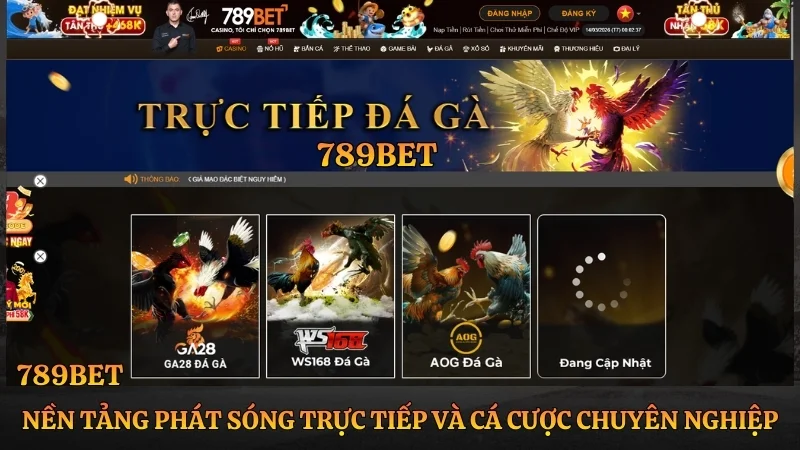 Đá Gà 789BET: Xem Trực Tiếp Thomo & Hướng Dẫn Cá Cược